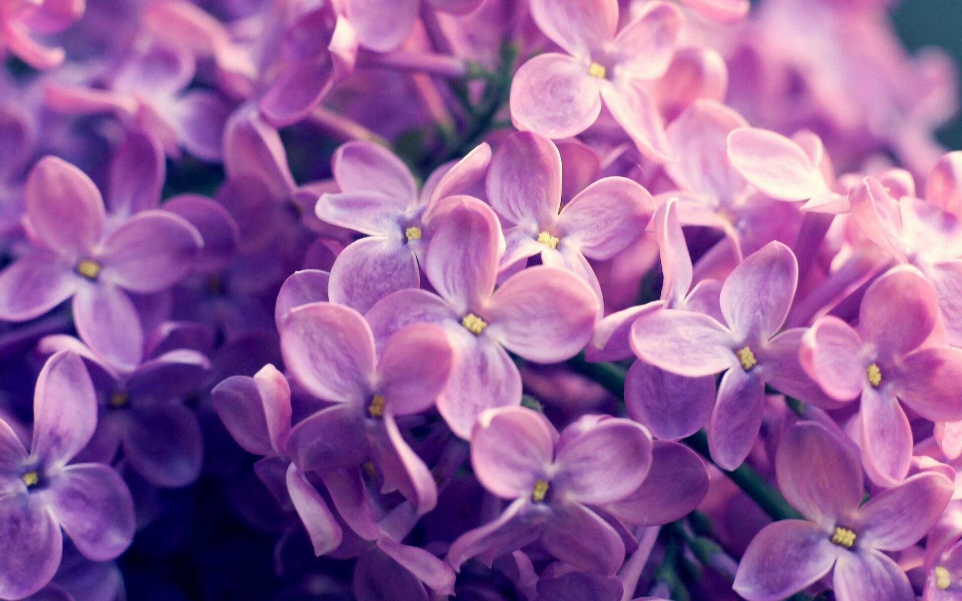 神锋拉亚一剑封喉！哥斯达黎加鏖战加时，气走伊拉克昂首晋级