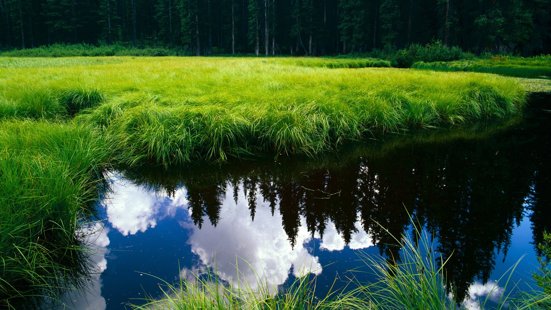 哈弗茨关键一剑定乾坤！比利亚雷亚尔友谊赛强压非洲雄狮几内亚
